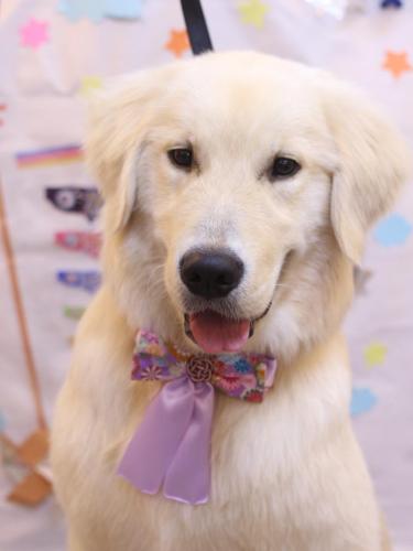 20240510レオくん